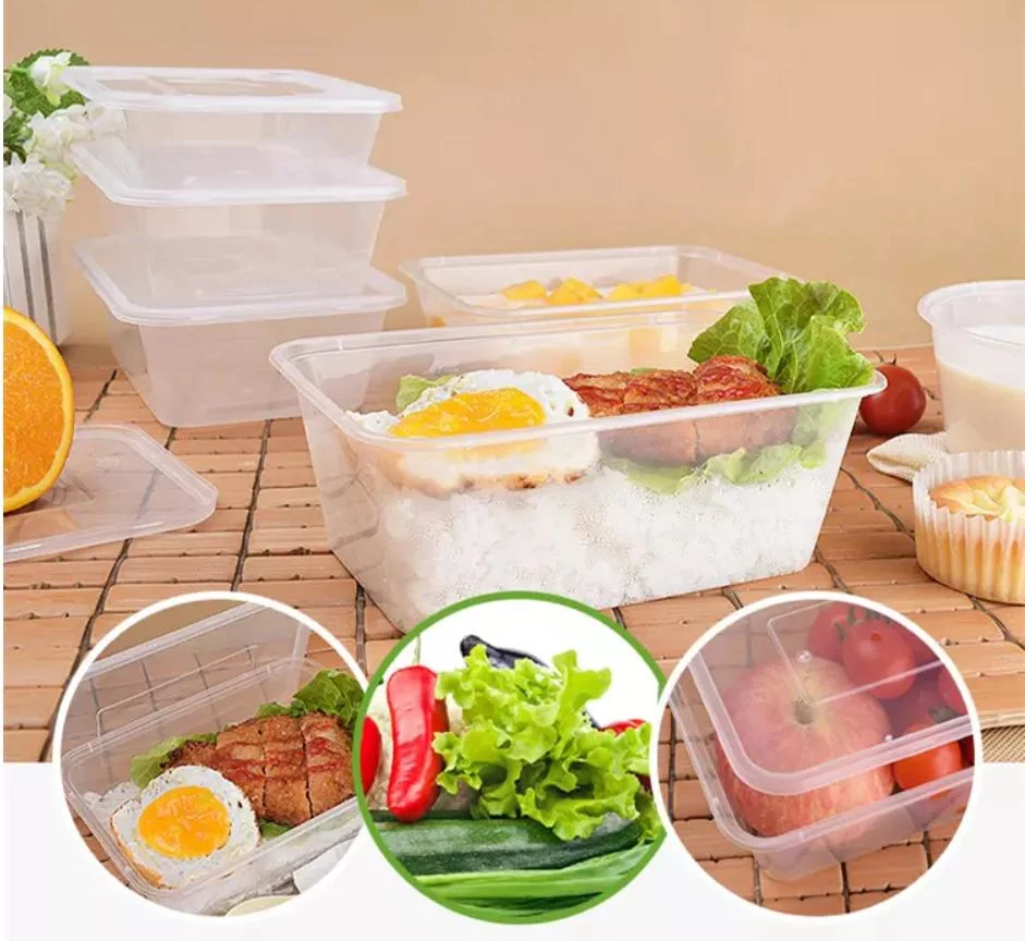 Take Away Custom Printed Disposable PP Plastic Microwave Food Container Lunch Box